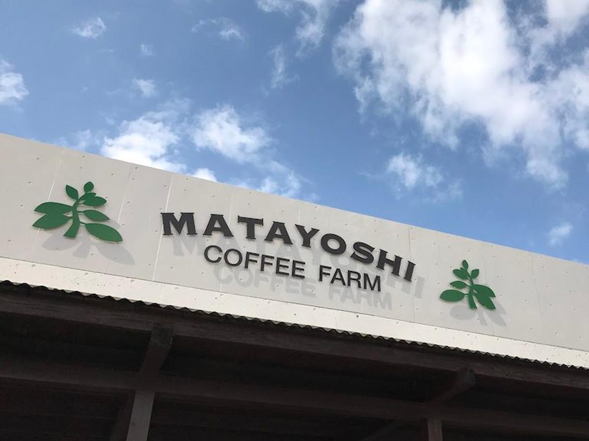 Villa Matayoshi Coffee Farm à Higashi Extérieur photo