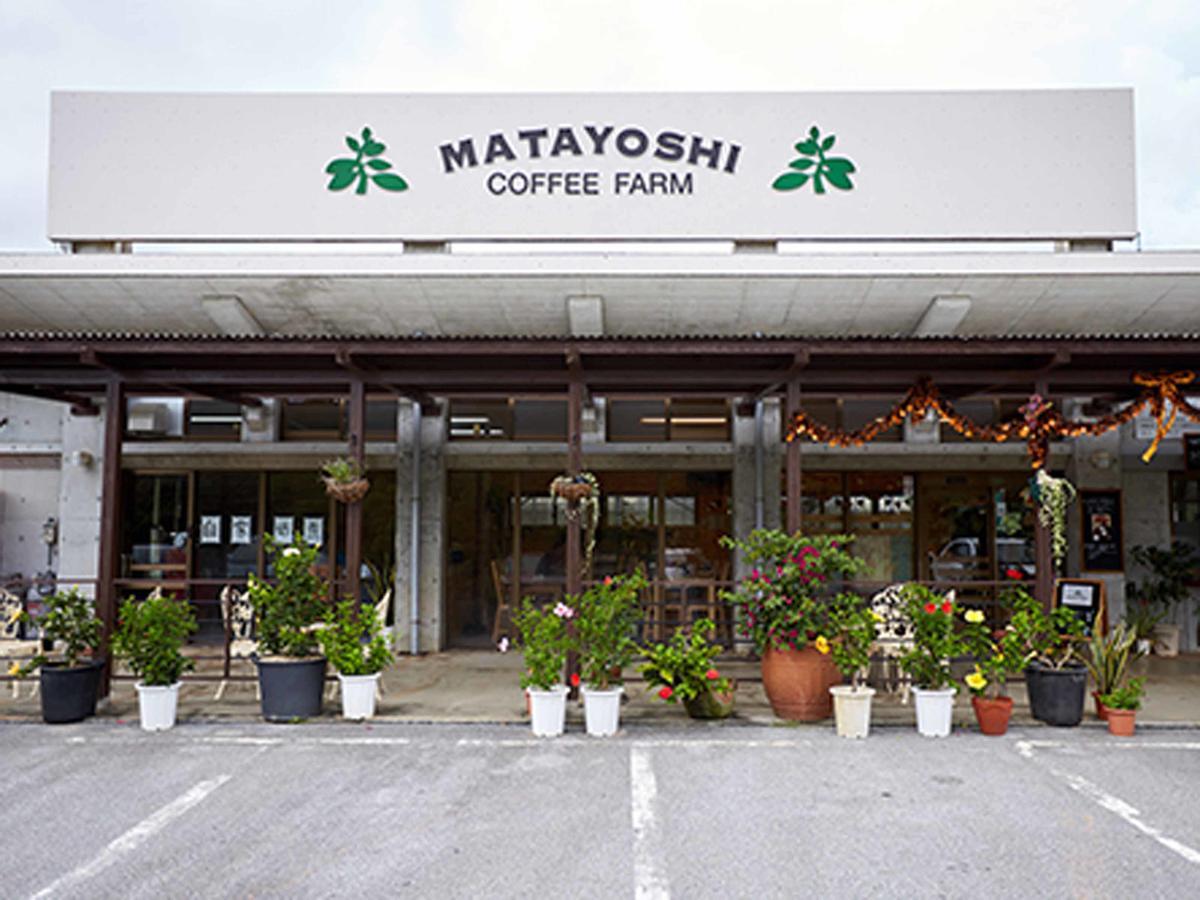 Villa Matayoshi Coffee Farm à Higashi Extérieur photo
